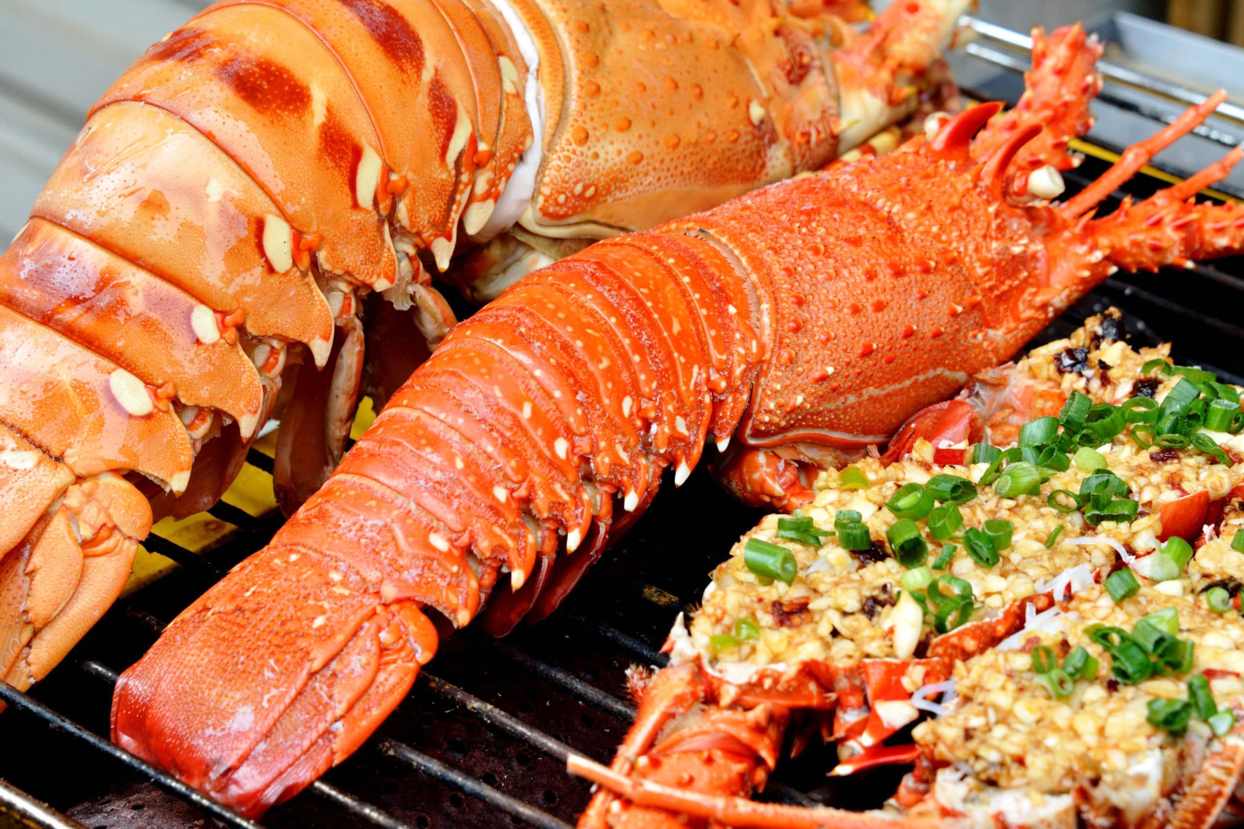Embrace the vibrant spirit of Khanh Hoa Travel adventures
